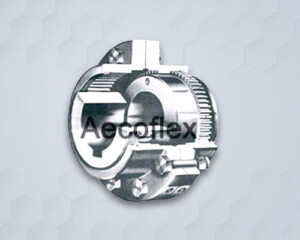 Gear Coupling